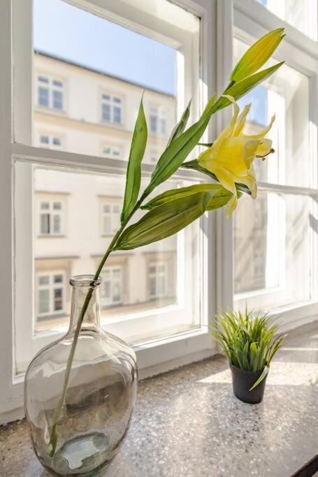 Royal Route Apartment Fully Equipped Krakow Dış mekan fotoğraf